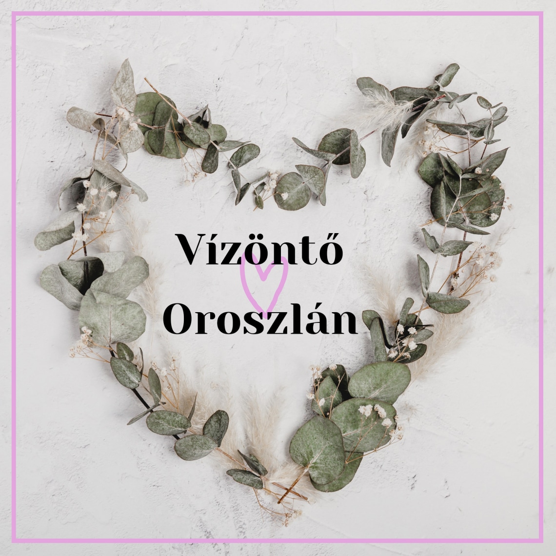 Vízöntő – Oroszlán