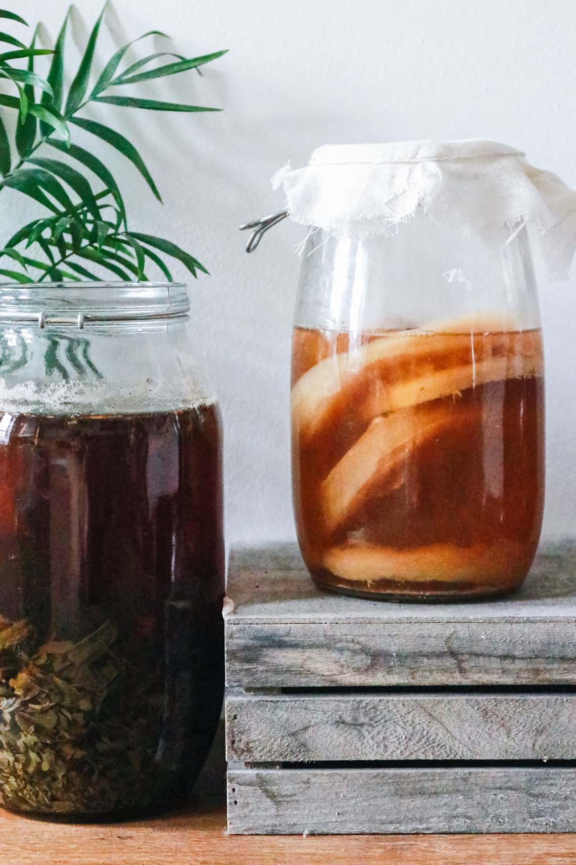 Kombucha - a bélrendszer javításáért