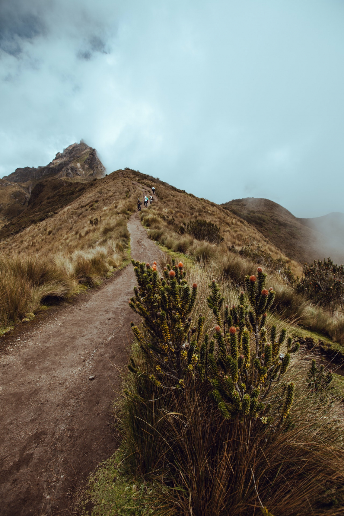 Ecuador: A legkellemesebb hőmérséklet