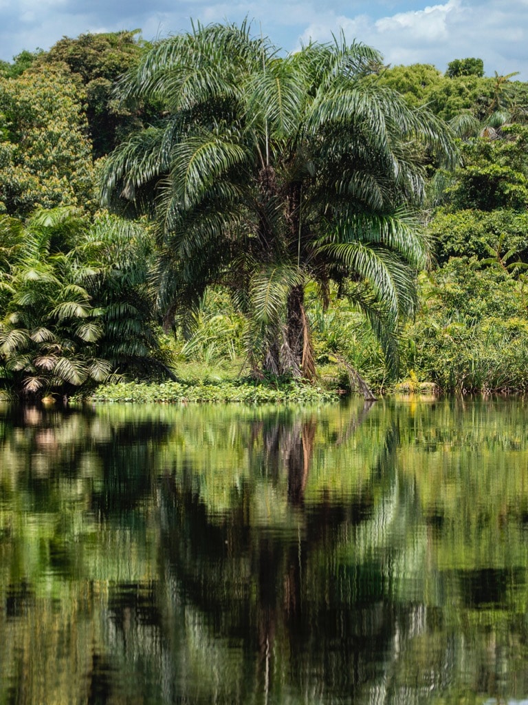 Kongó: A legszélvédettebb
