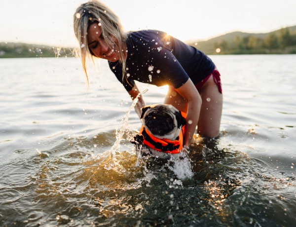 Nem csak nekünk van melegünk – 8 cuki és hasznos nyári kiegészítő a kutyádnak
