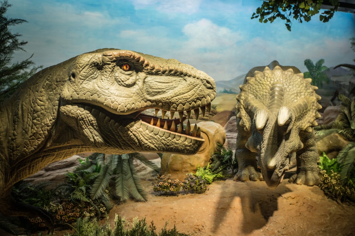 Hogy zajlott a dinoszauruszok párzása? Ha eddig nem gondolkodtál rajta, most fogsz