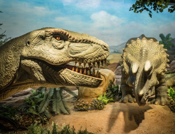 Hogyan párosodtak a dinoszauruszok? Ha eddig nem gondolkodtál rajta, most fogsz