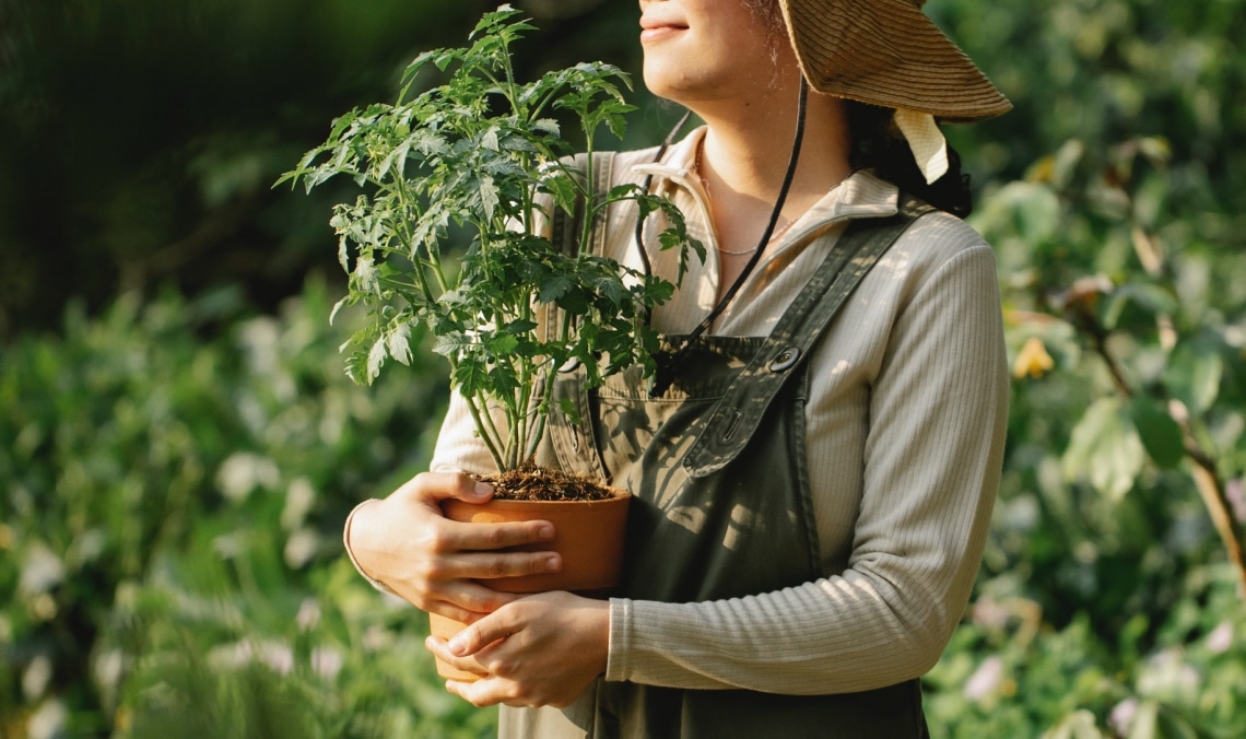 Kártevők ellen: 10 hasznos növény, ami megvédi a veteményeskertet 