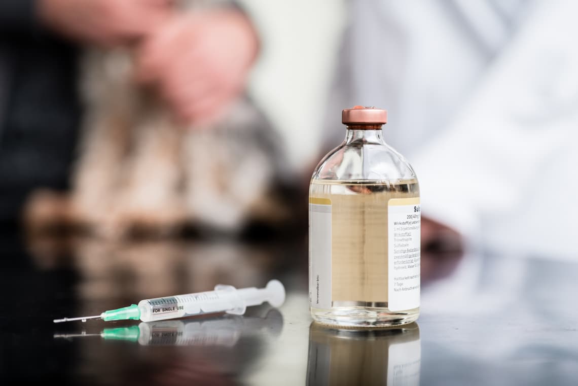 &nbsp;Egy elveszett vírusból készül a majomhimlő elleni oltás