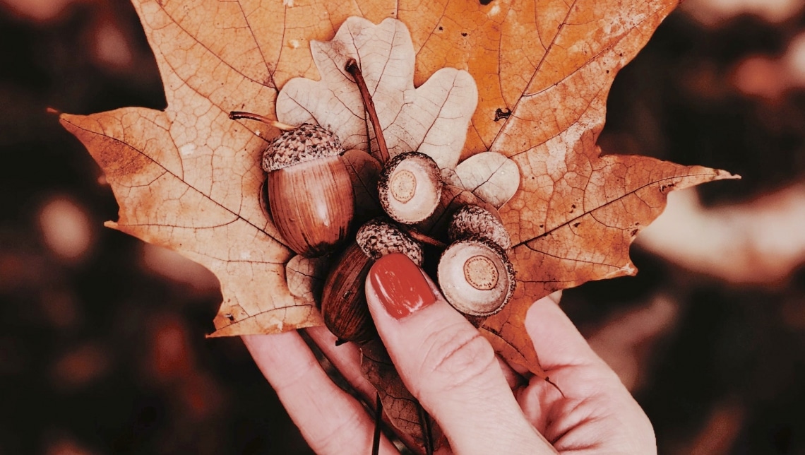 Makk mánia: 10 ötletes dekoráció az ősz kis terméseivel