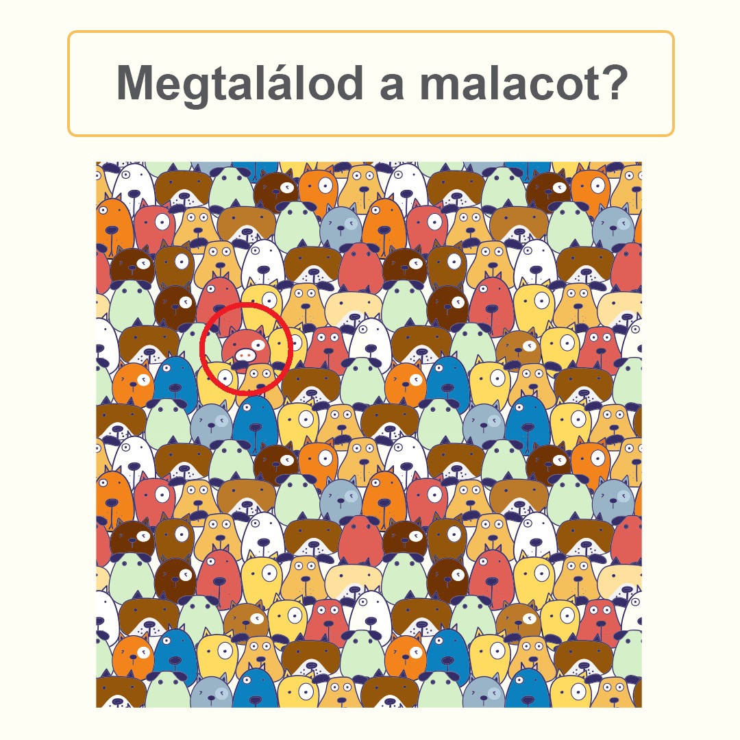 Íme a képen elrejtett malac!