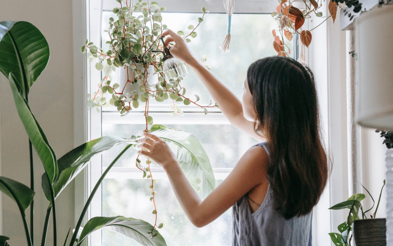 5 egyszerű trükk – Így tedd élethűbbé a műnövényeket
