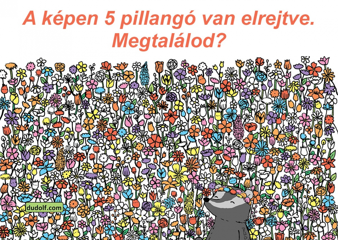 Napi fejtörő: A képen 5 pillangó van elrejtve. Megtalálod?