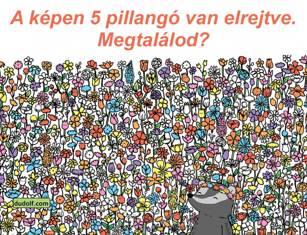 Napi fejtörő: A képen 5 pillangó van elrejtve. Megtalálod?