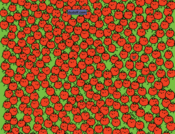 Napi fejtörő: Megtalálod a 3 almát a paradicsomok közt?