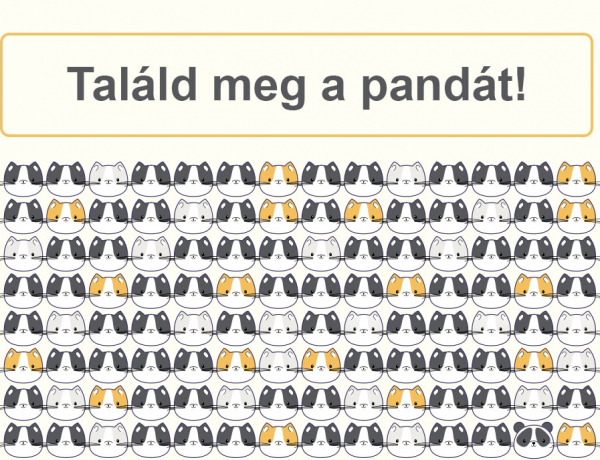 Találd meg a képen elrejtett pandát!