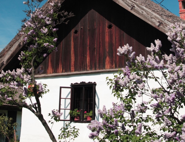 Magyar Feng Shui: ilyen az ősi magyar térrendezés