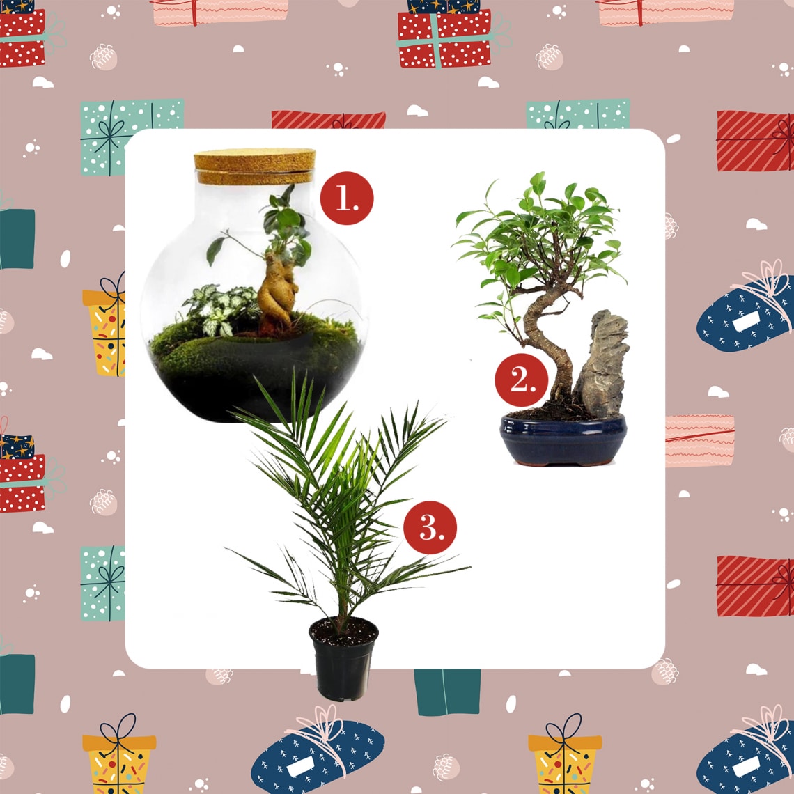 Különleges növények