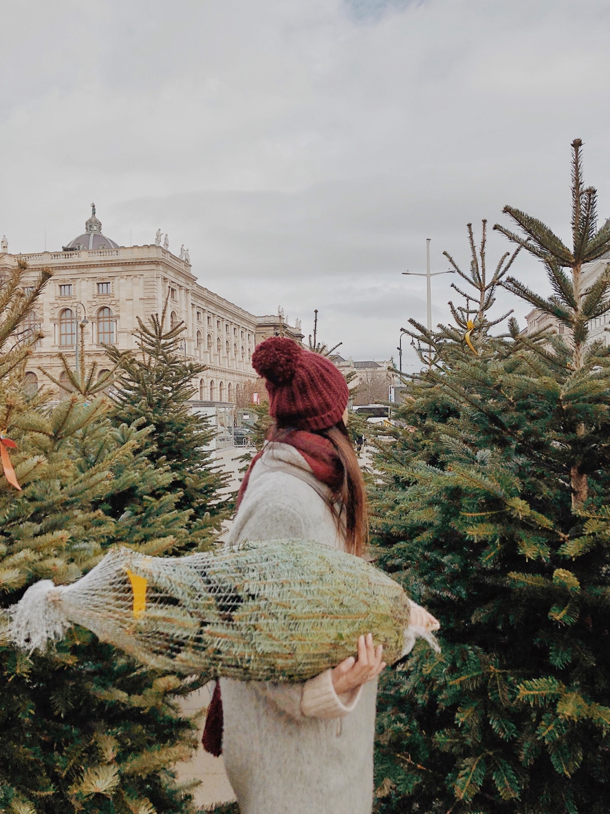 Válaszd ki a fajtát!