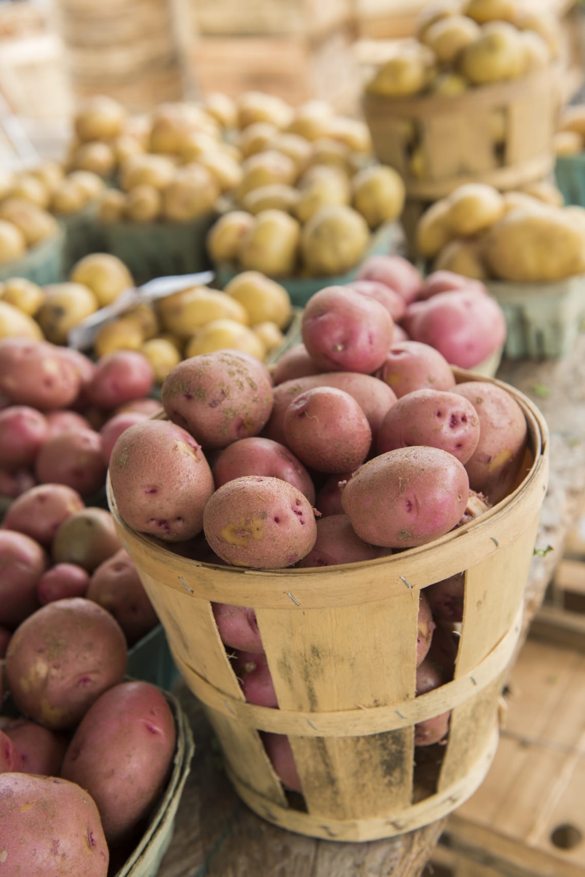 Ne tedd meleg helyre