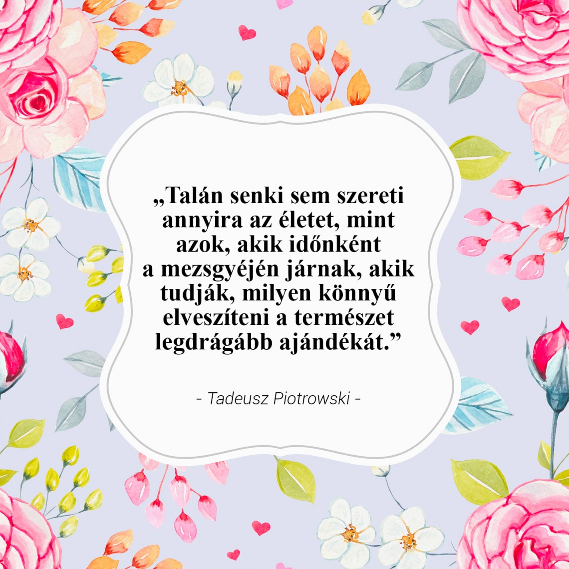 „Talán senki sem szereti annyira az életet, mint azok, akik időnként a mezsgyéjén járnak....” - Tadeusz Piotrowski