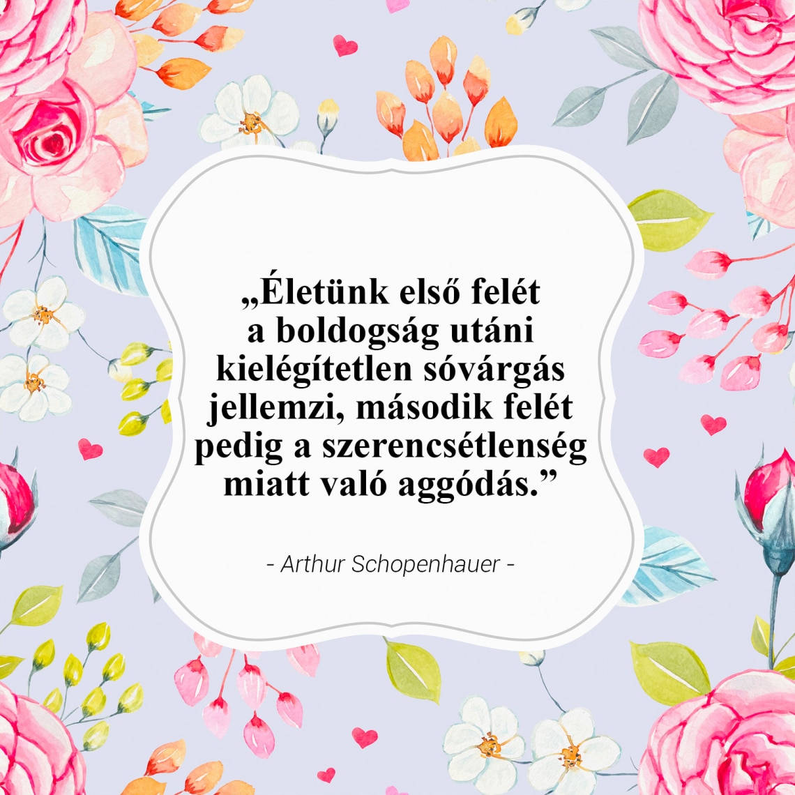 „Életünk első felét a boldogság utáni kielégítetlen sóvárgás jellemzi, második felét pedig a szerencsétlenség miatt való aggódás.”- Arthur Schopenhauer