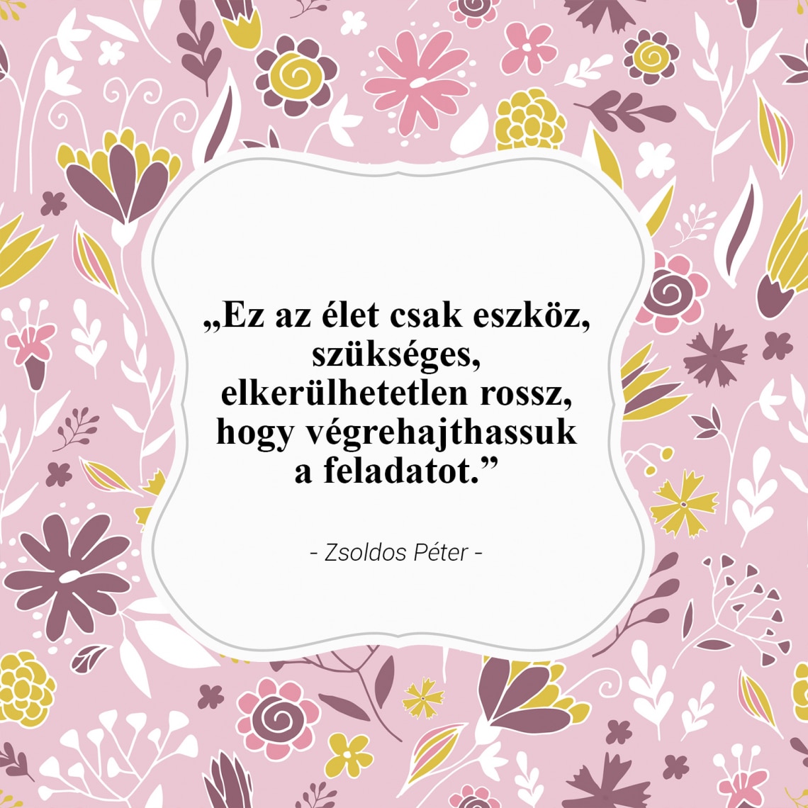 „Ez az élet csak eszköz, szükséges, elkerülhetetlen rossz, hogy végrehajthassuk a feladatot.” - Zsoldos Péter