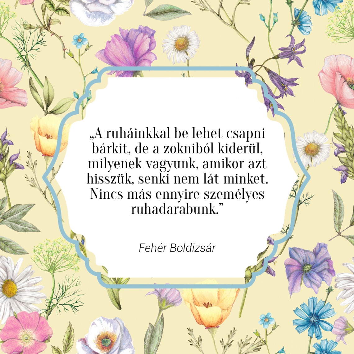 „A ruháinkkal be lehet csapni bárkit, de a zokniból kiderül, milyenek vagyunk, amikor azt hisszük, senki nem lát minket. Nincs más ennyire személyes ruhadarabunk.” - Fehér Boldizsár