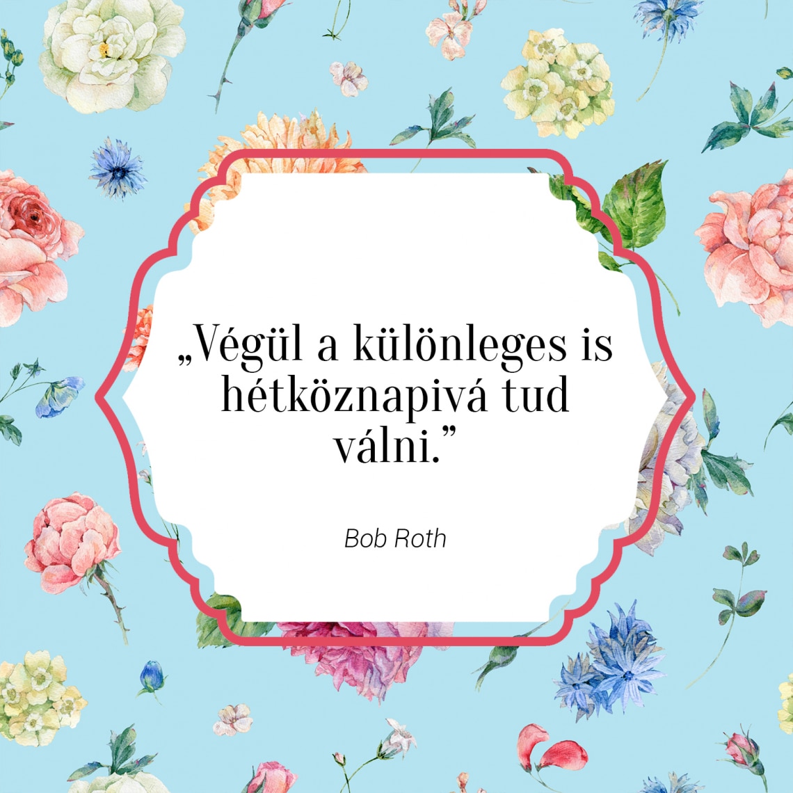 „Végül a különleges is hétköznapivá tud válni.” - Bob Roth