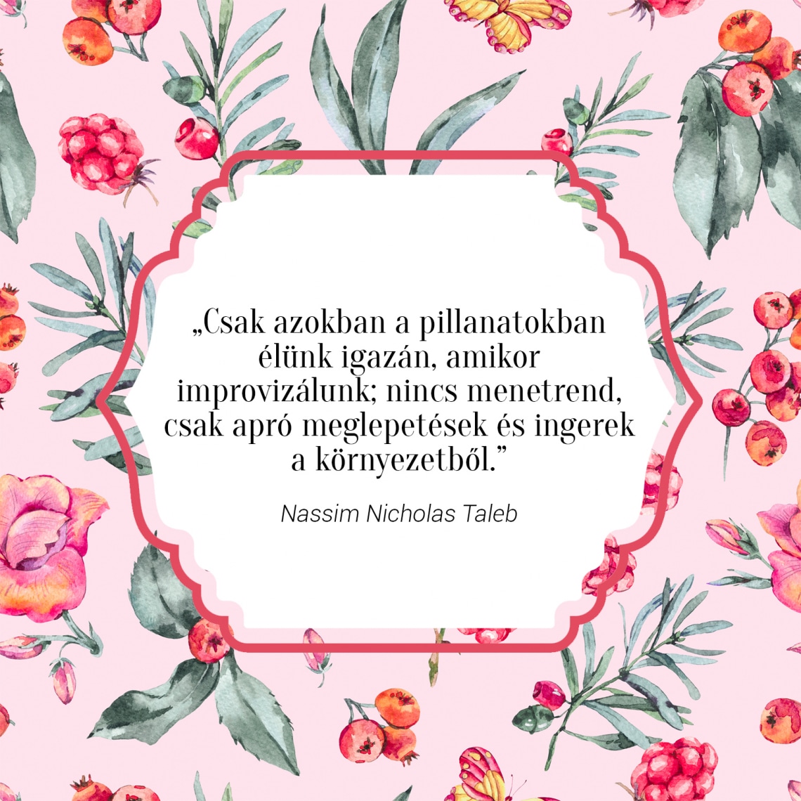 „Csak azokban a pillanatokban élünk igazán, amikor improvizálunk; nincs menetrend, csak apró meglepetések és ingerek a környezetből.” - Nassim Nicholas Taleb