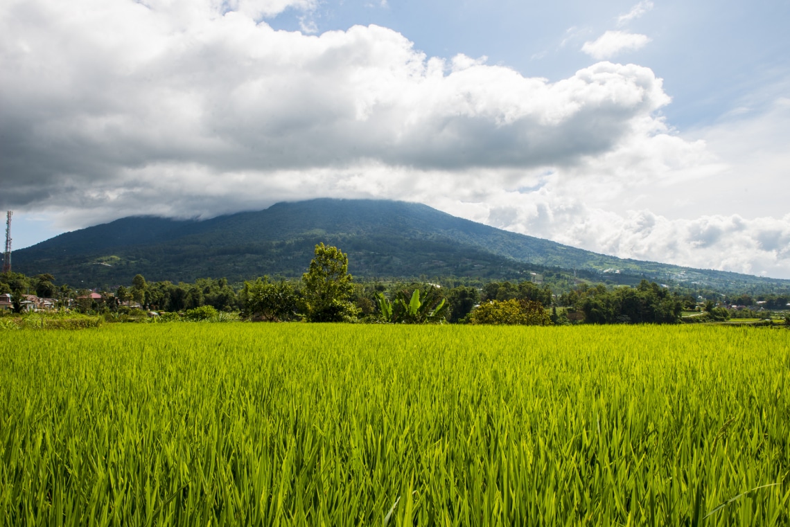 Ez az egyetlen vulkán az egész világon káoszt és pusztulást okozhatna