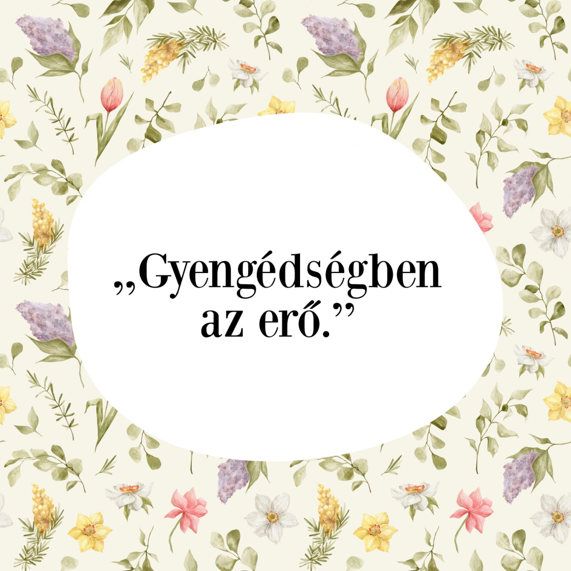 „Gyengédségben az erő”