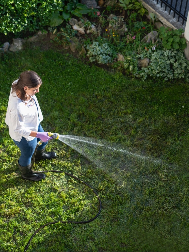 A legjobb időpont az öntözésre