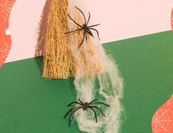 Hogyan póktalanítsd a lakásodat? Így tarthatod házon kívül a soklábúakat