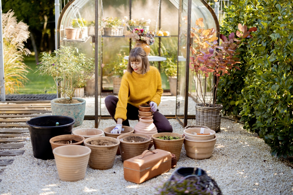 Mulcsozás: A kerted titkos fegyvere a gyomok ellen és a talaj egészségéért