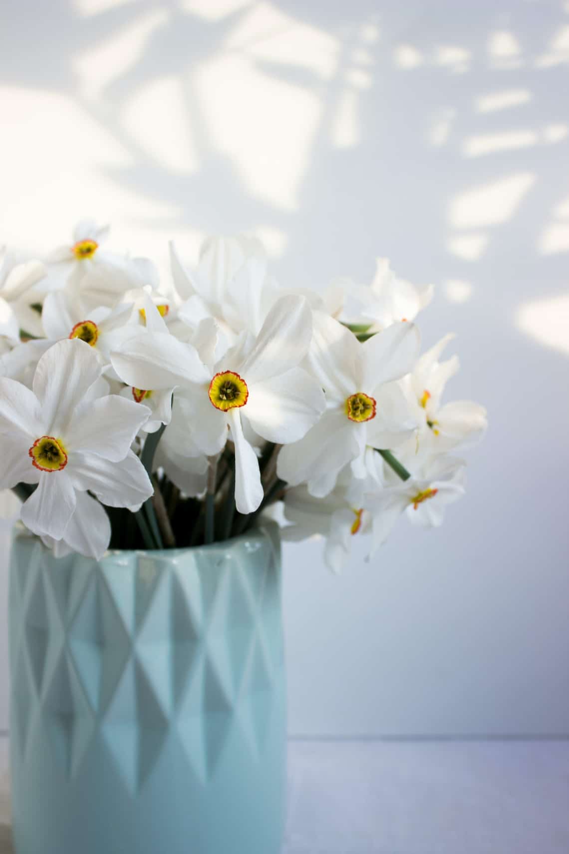 Március – Nárcisz