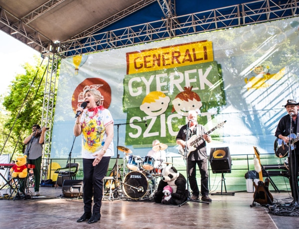 Fészküket kereső tyúkok a Generali Gyerek Szigeten