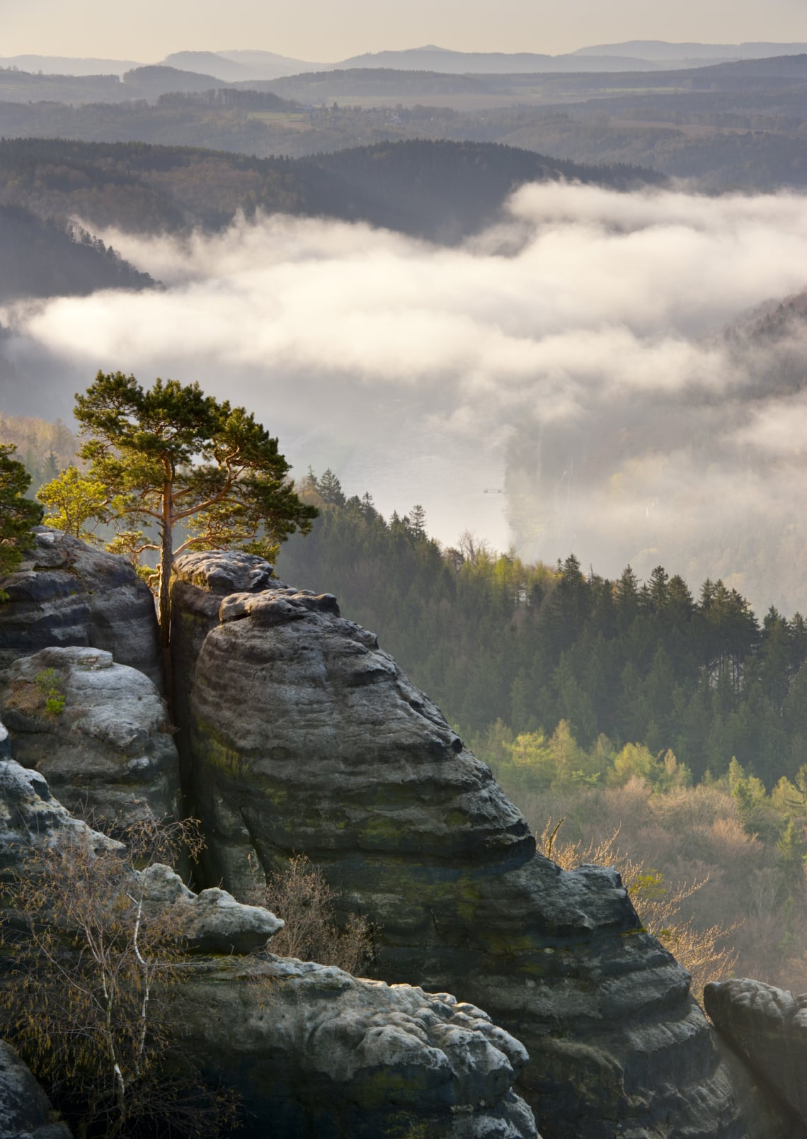 Elba Homokkő-hegység, Szász Svájc