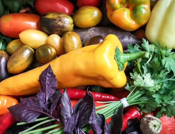 A vegetáriánus étkezés csodálatos, ha így csinálod – interjú Koszecz Anna dietetikussal