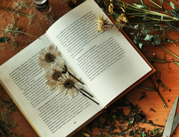 Virágba zárt emlékek: így készíts álomszép dekorációkat préselt növényekből