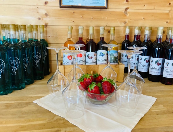 Magyarország első gyümölcsbor manufaktúrája, a Sápi gyümölcsbor
