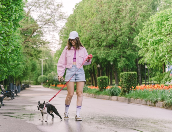 Nem csak a járókelőket bosszantja, ha ott hagyod: ennyire veszélyes a kutyapiszok az utcákon 