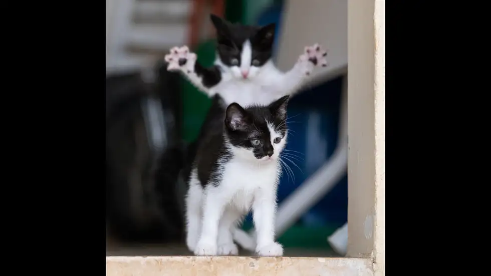 3, 2, 1…