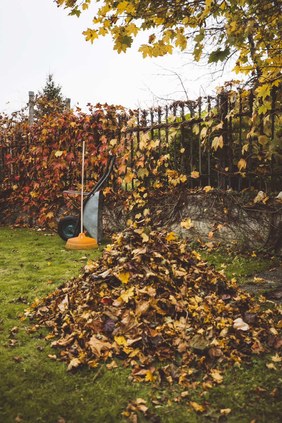 Udvari zöldhulladék: luxusszálloda lehetősége