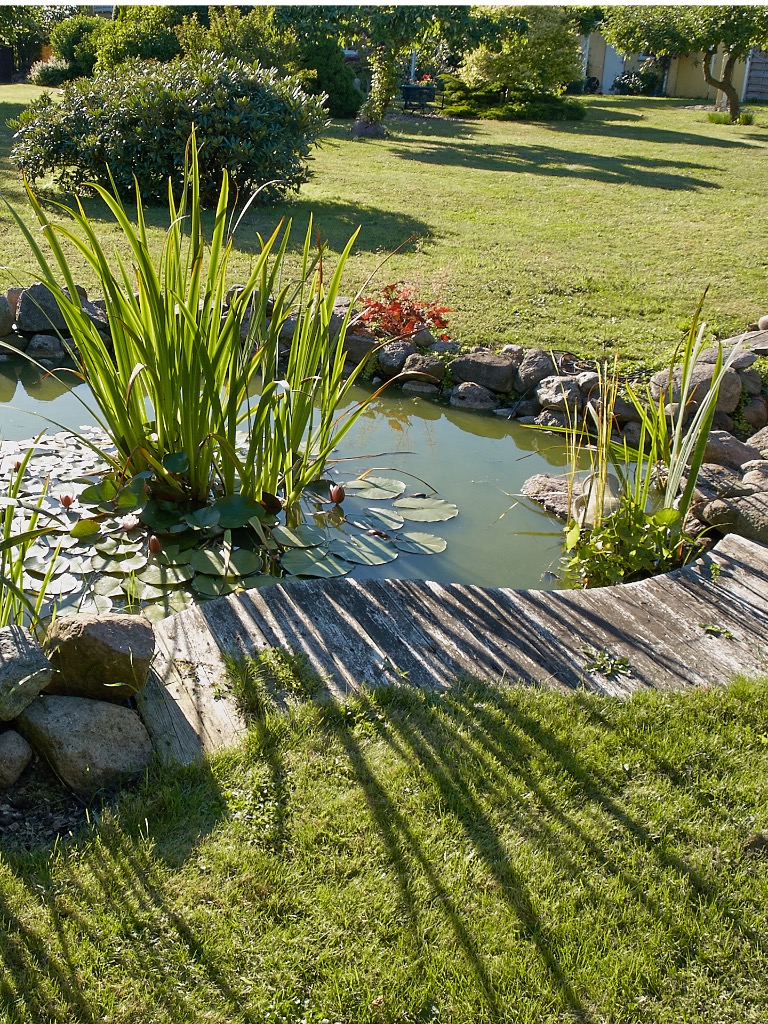 Állóvíz: a szúnyogok álma