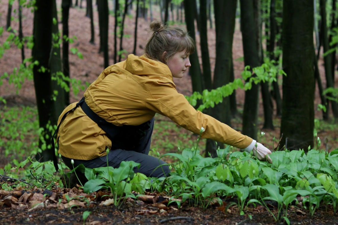 Az ehető növények és gombák világa csodálatos – Almási Petra kertészmérnök segít, hogy te is jobban felfedezhesd