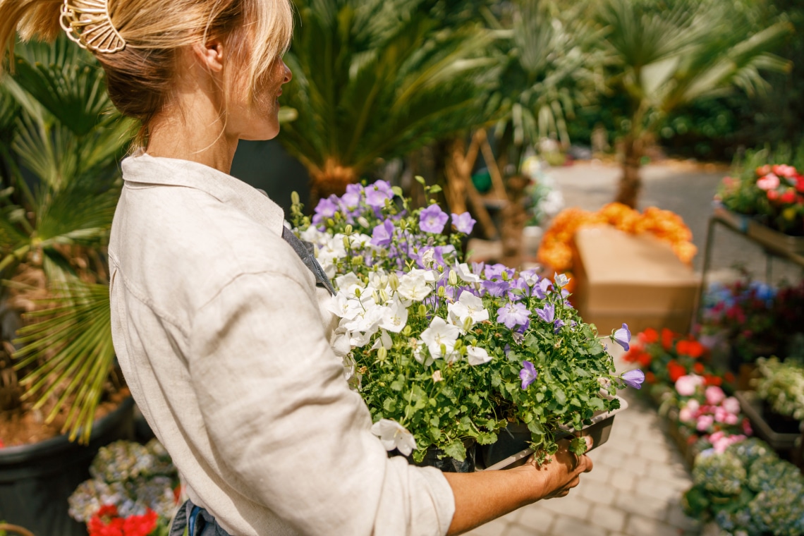 8 dolog a kertedben, ami vonzza a bogarakat és a kártevőket