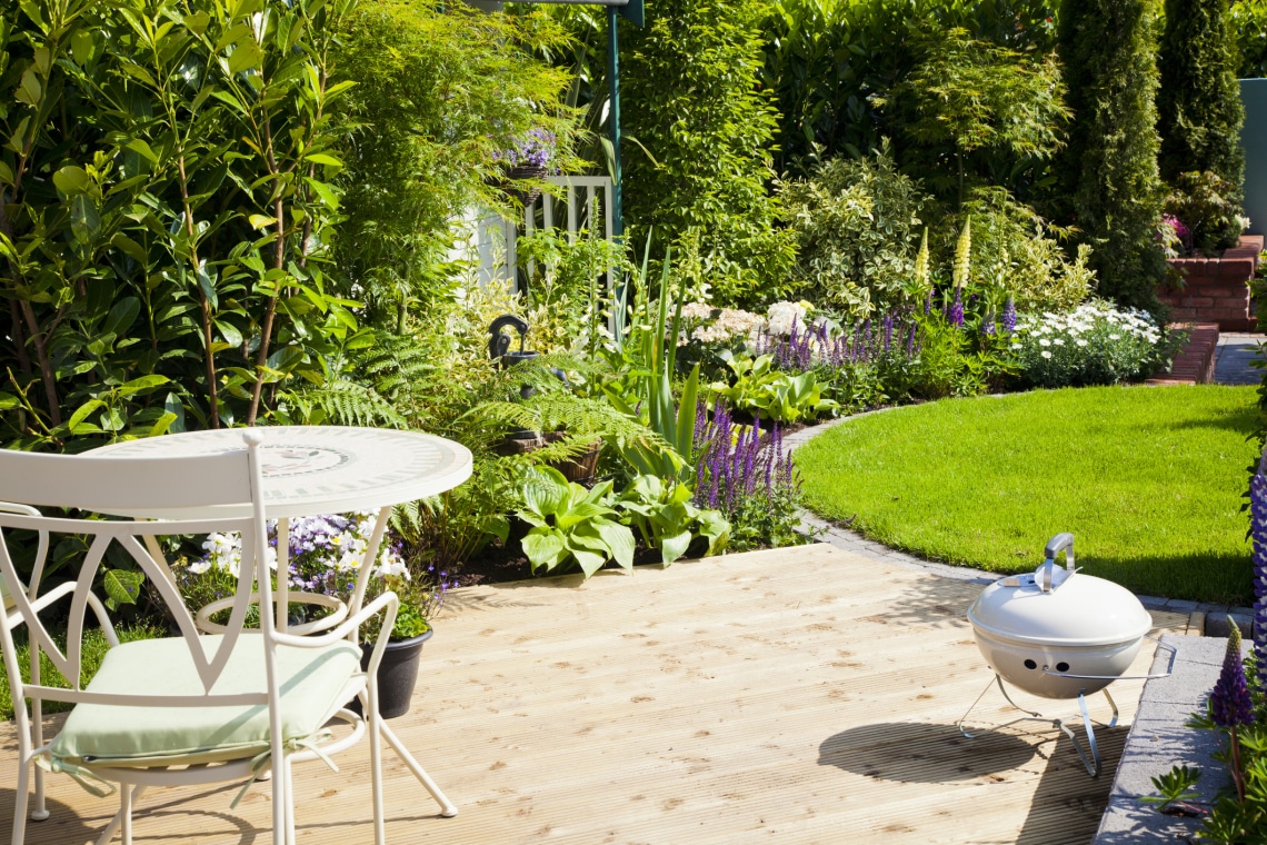 7 kerti növény, ami akkor is csodás, ha éppen nem virágzik