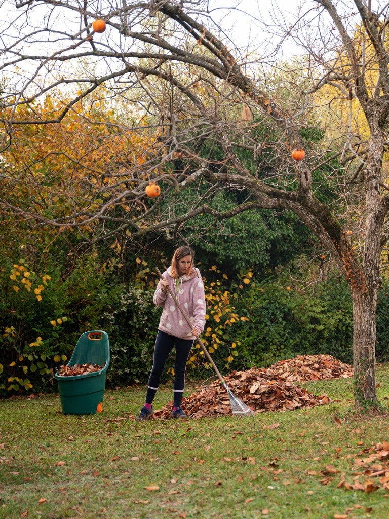 Készíts levélpenészt