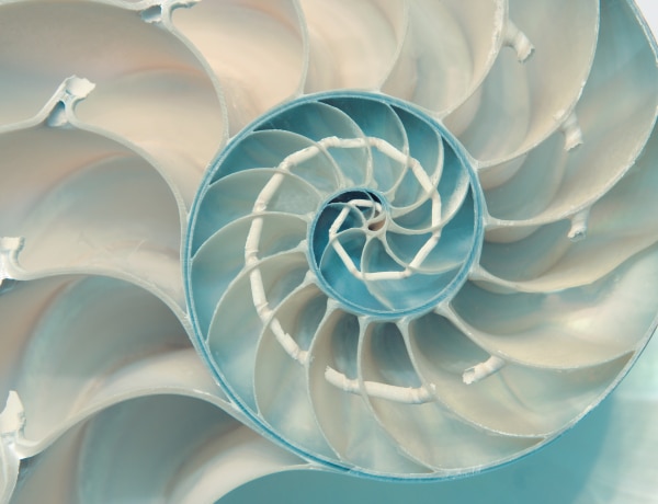 Szakrális geometria: ilyen hatással vannak az ősi alakzatok az életünkre