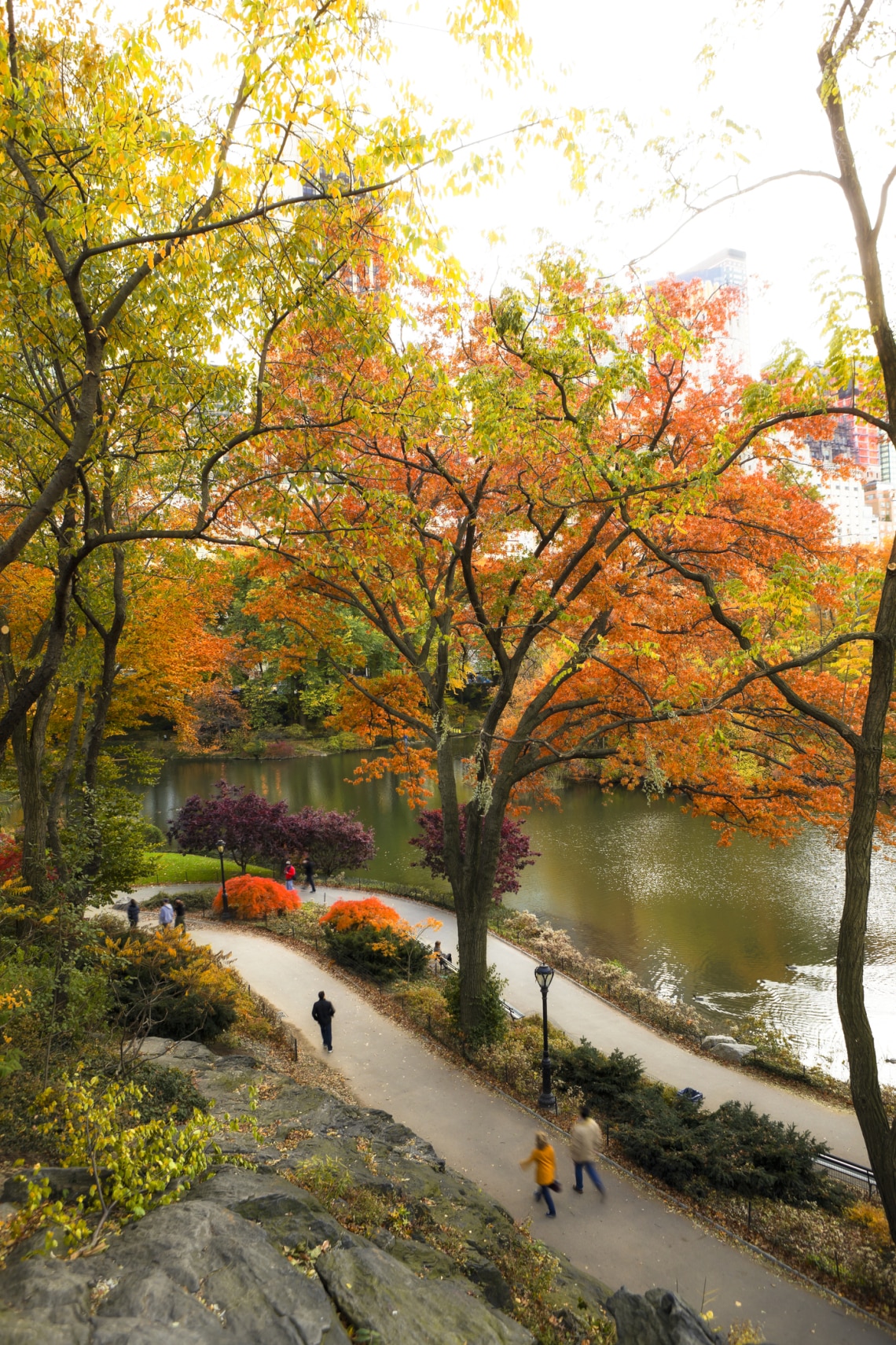 Városi park – Nyugodt életszerető