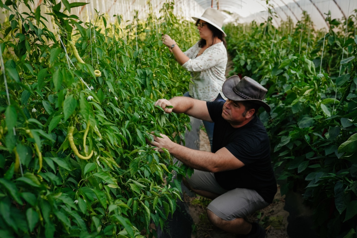 „Hitvallásunk, hogy ízfokozónk a természet, és igazi ízélményt adunk” – ismerd meg a Gourmet & Delicious Manufaktúrát