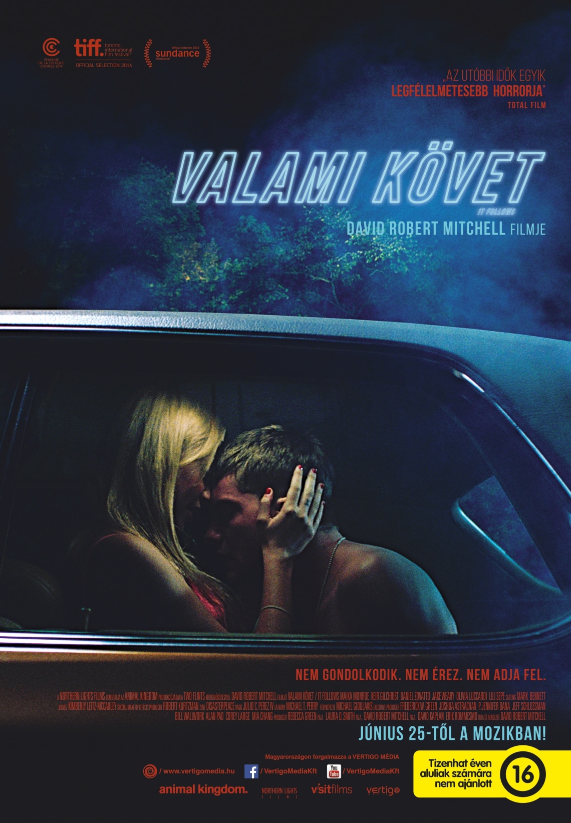 7: Valami követ (It follows), 2014.