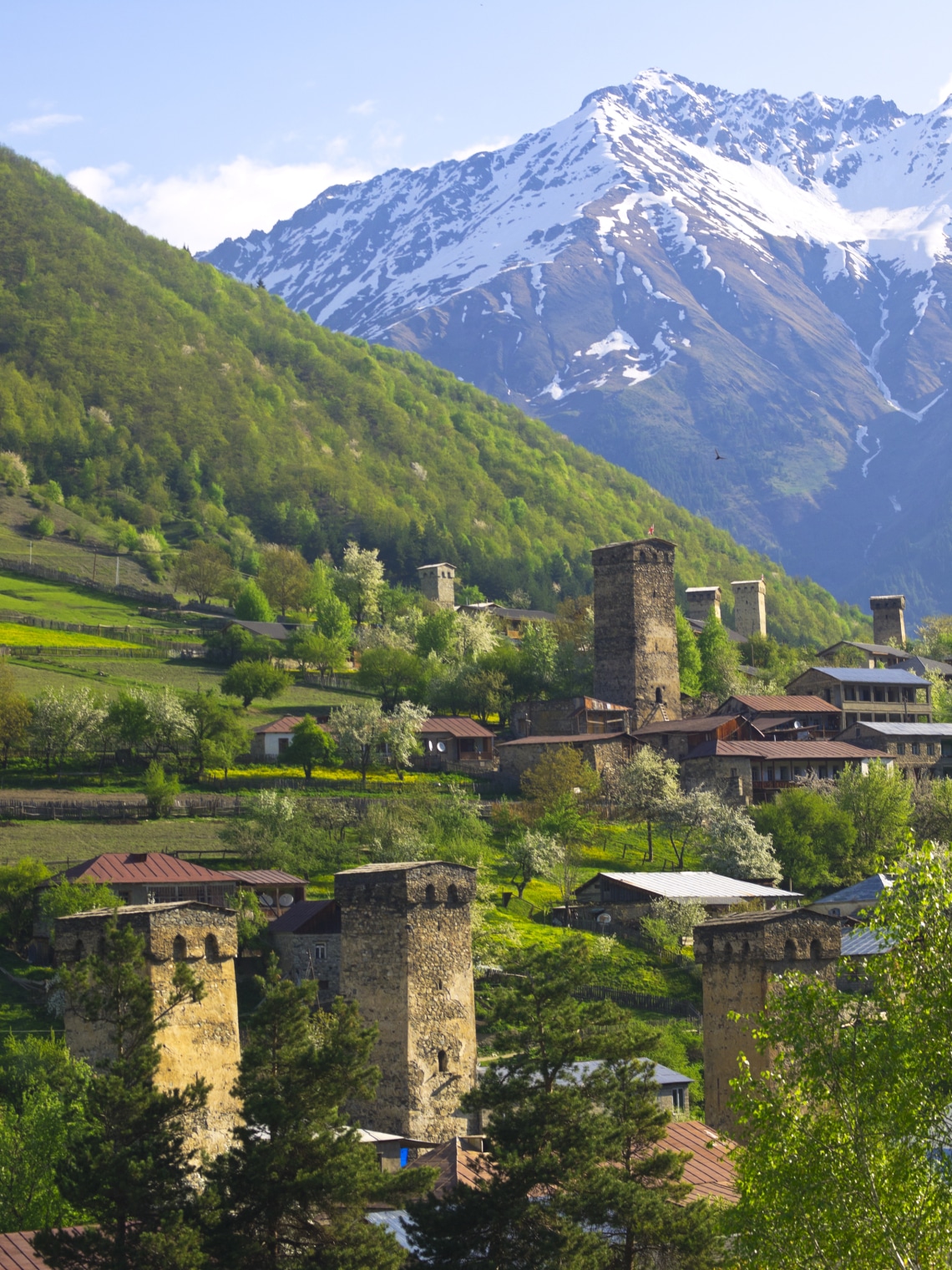 Grúzia Ausztrália helyett